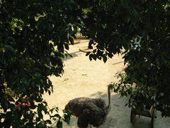 -武汉紫薇都市田园