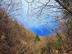 -王顺山国家森林公园