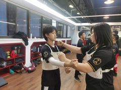 -温鉴良实用咏春拳