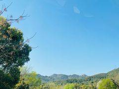 -宝业会稽山高尔夫俱乐部