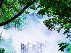 -北京西山国家森林公园