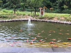 -重庆神龙峡漂流