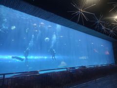 -华夏文旅海洋公园