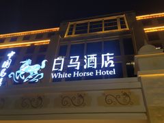 -中国马镇舞马世界主题乐园