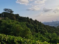 -火炉山森林公园
