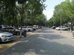 -大兴滨河森林公园