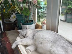 -小时光咖啡馆(北锣鼓巷店)