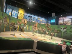 -国家自然博物馆