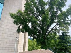 -大连市规划展示中心