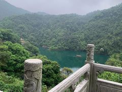 -鼎湖山风景区