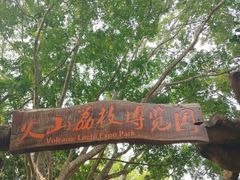 -海口火山口国家地质公园