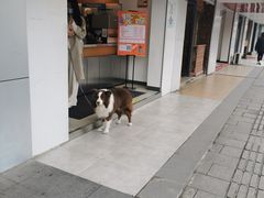 -越南牛肉河粉餐厅(书院巷店)