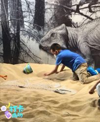 -恐龙探索乐园(磁器口店)