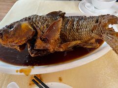 挣蹦鲤鱼-奥华餐厅·老张记(台基厂店)
