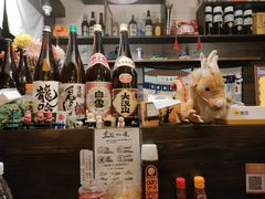 -金龙咖喱