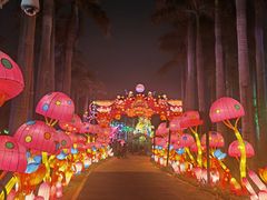 -欢乐海岸椰林沙滩-2025湾区超级灯会