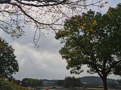 -上海月湖雕塑公园