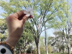 -新江湾城公园