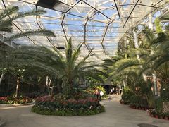 -北京植物园-展览温室