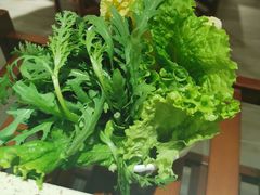 -313羊庄铁锅烀羊肉(望京店)