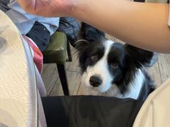 -城南往事·鲁菜济南菜(软件园美莲广场店)