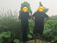-金鸡湖桃花岛