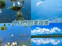 -花湖生态旅游区