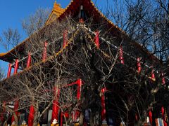 -哈尔滨极乐寺