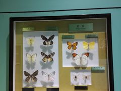 -上海昆虫博物馆