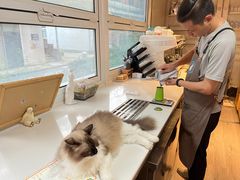 -灯塔咖啡馆BOOK·Coffee Shop