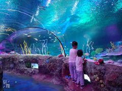 -沈阳海洋探索中心