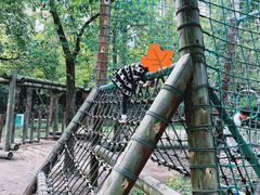 -上海滨江森林公园