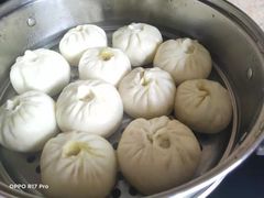-田螺阿姨自营月嫂·育儿嫂(高新店)
