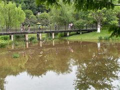 -沐仙湖湿地公园