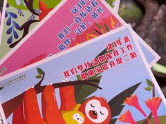-正佳雨林生态植物园