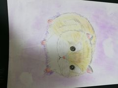 -东方童画少儿美术(金桥体验馆)