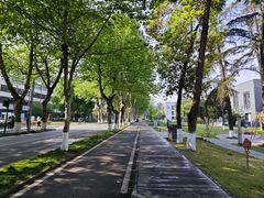 -四川大学(望江校区)
