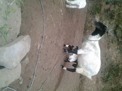 android_upload_pic-热度餐厅(老佛爷店)