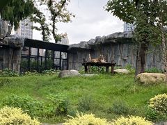 -武汉动物园