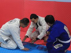 -金翼跆拳道巴西柔术拳击格斗学院