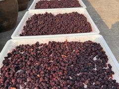 -苏州市吴中区光福窑上花果蜜饯厂