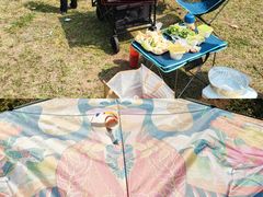 -洨河生态公园