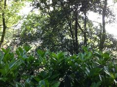 -韶山毛泽东同志故居