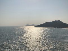 -广东惠东海龟国家级自然保护区