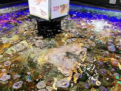 -盒马鲜生(岭南新世界店)