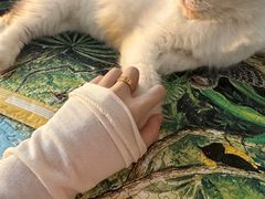 -平行世界·猫咖(首经贸店)