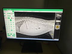 -荔康动物医院(康王北路店)