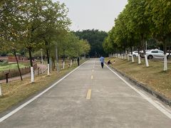 -广东花都湖国家湿地公园