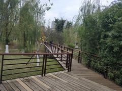 -沐仙湖湿地公园