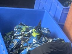 -世界之窗阿尔卑斯冰雪世界